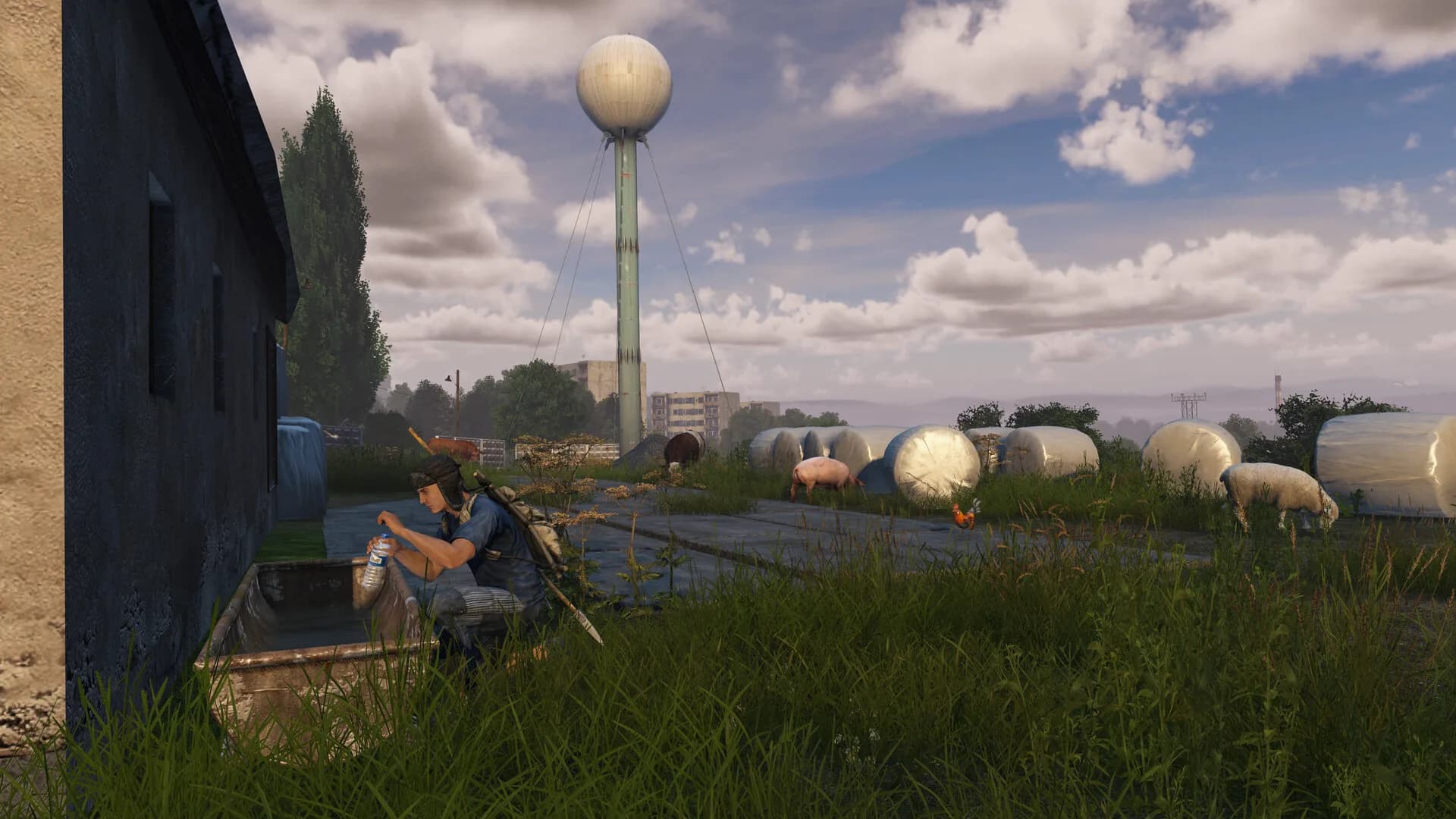 DayZ görsel 22