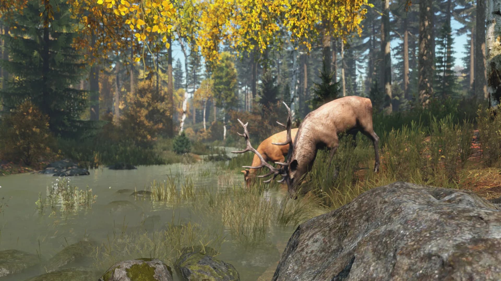 DayZ görsel 7