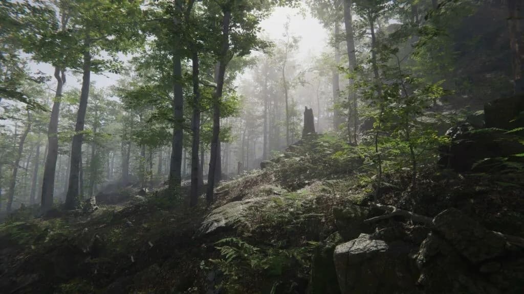 Mushroom Collector Simulator görsel 2