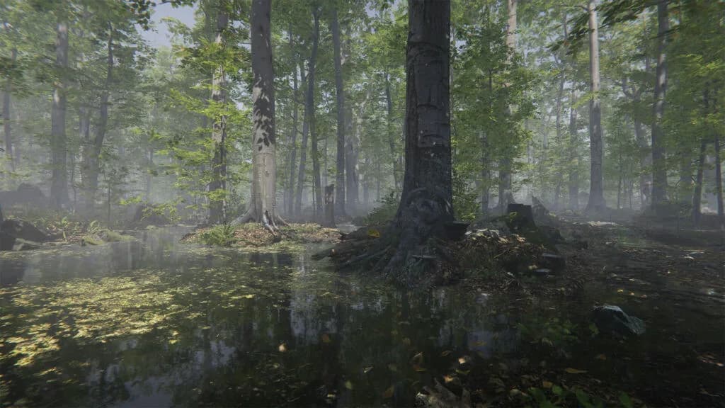 Mushroom Collector Simulator görsel 5