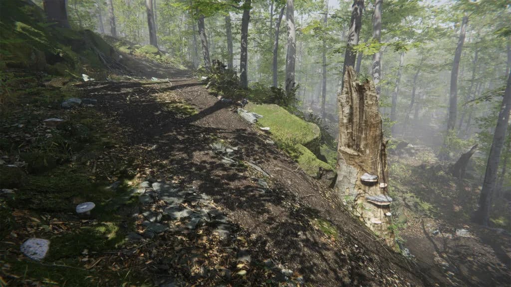 Mushroom Collector Simulator görsel 6