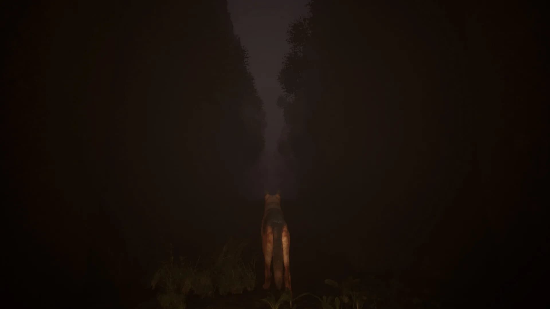 Out of Nowhere görsel 5