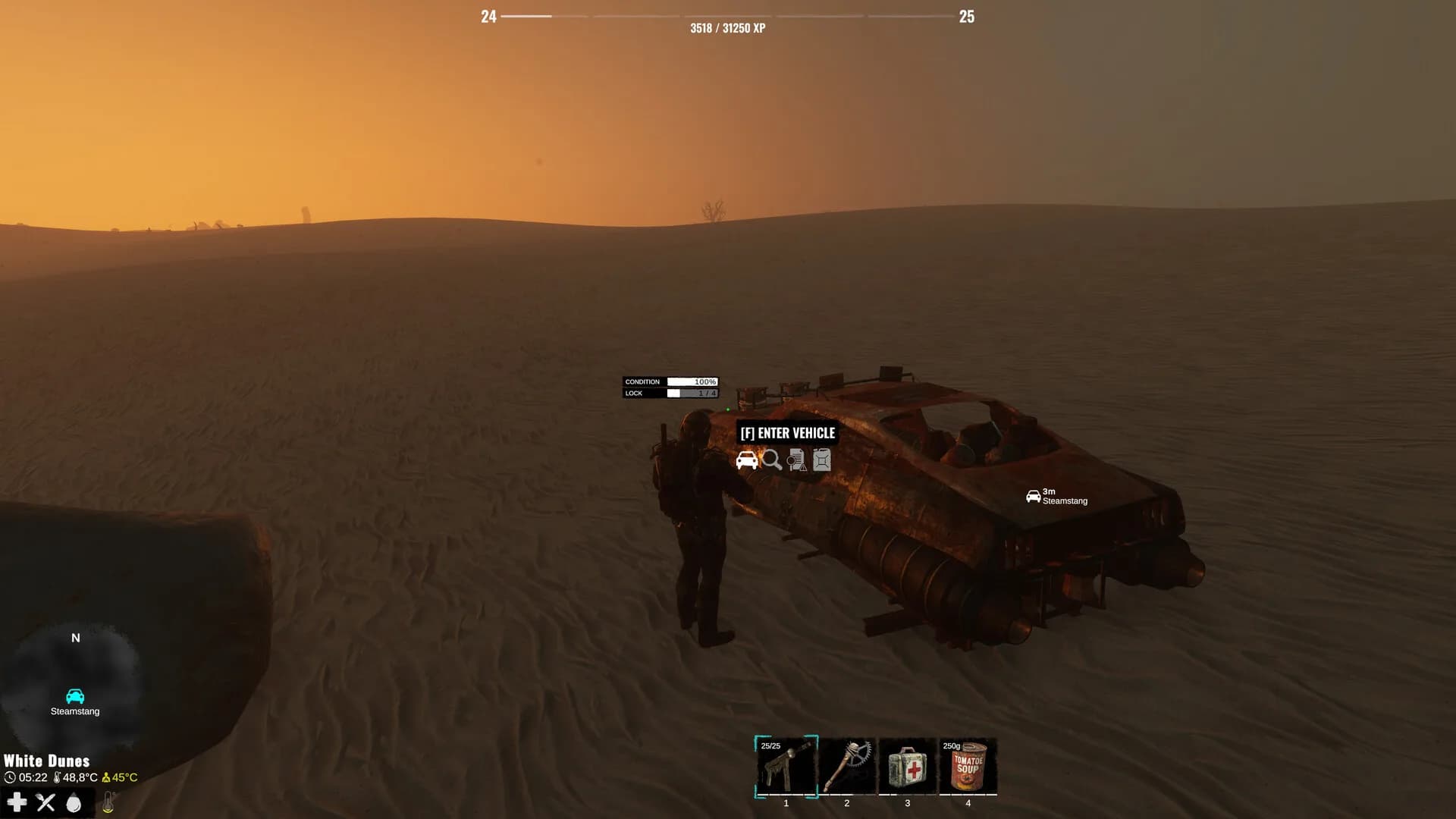 Plains of Pain görsel 33