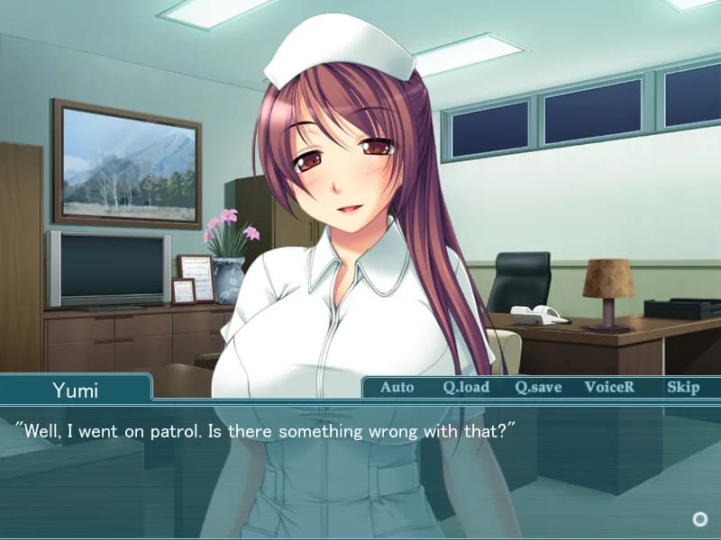 Obscene Medical Records of a Married Nurse görsel 2