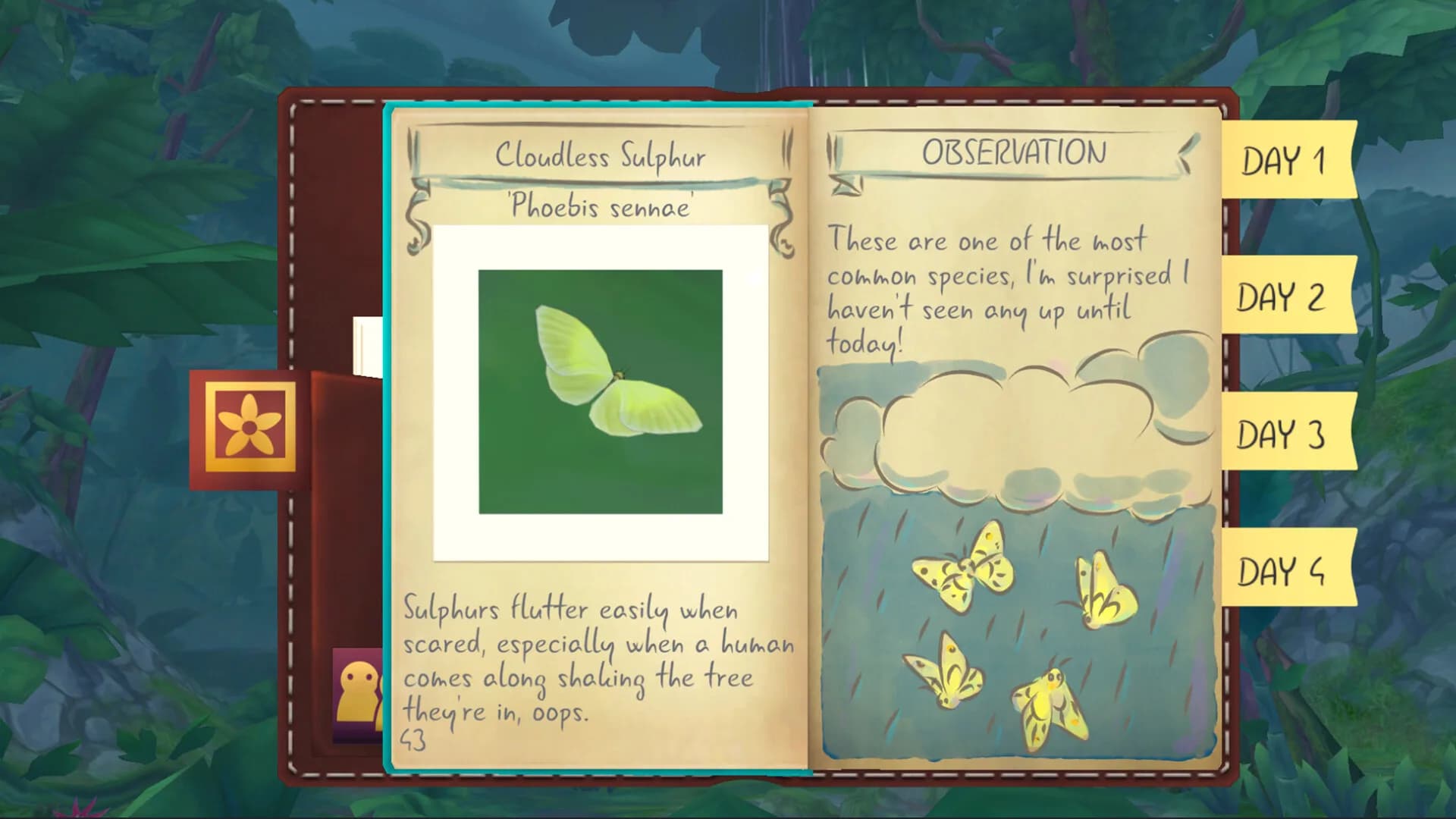 Flutter Away görsel 3
