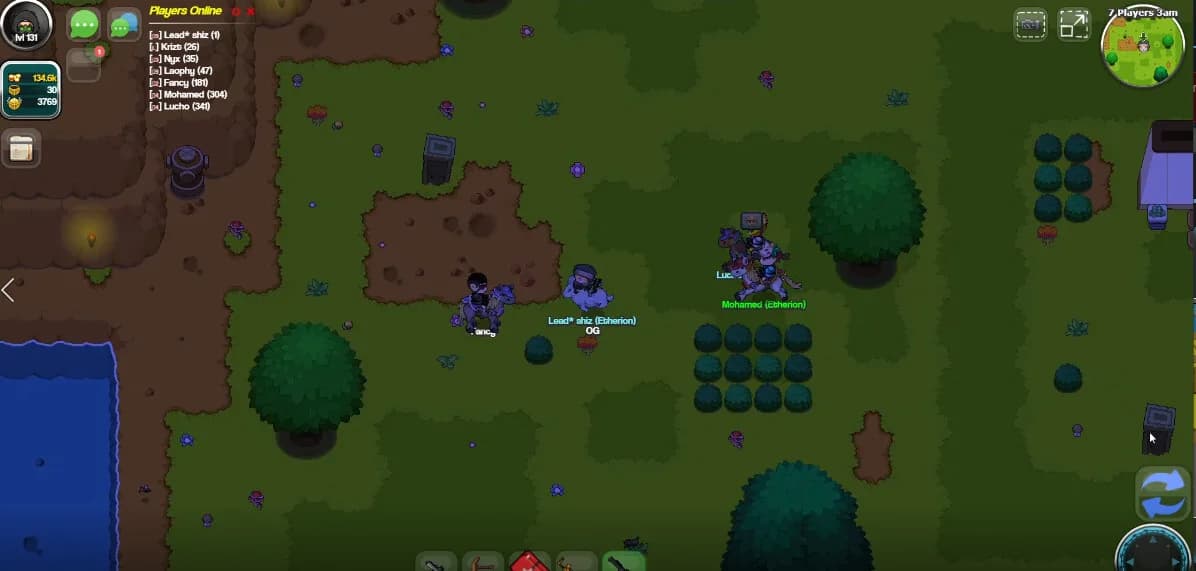 Etherion Online görsel 6