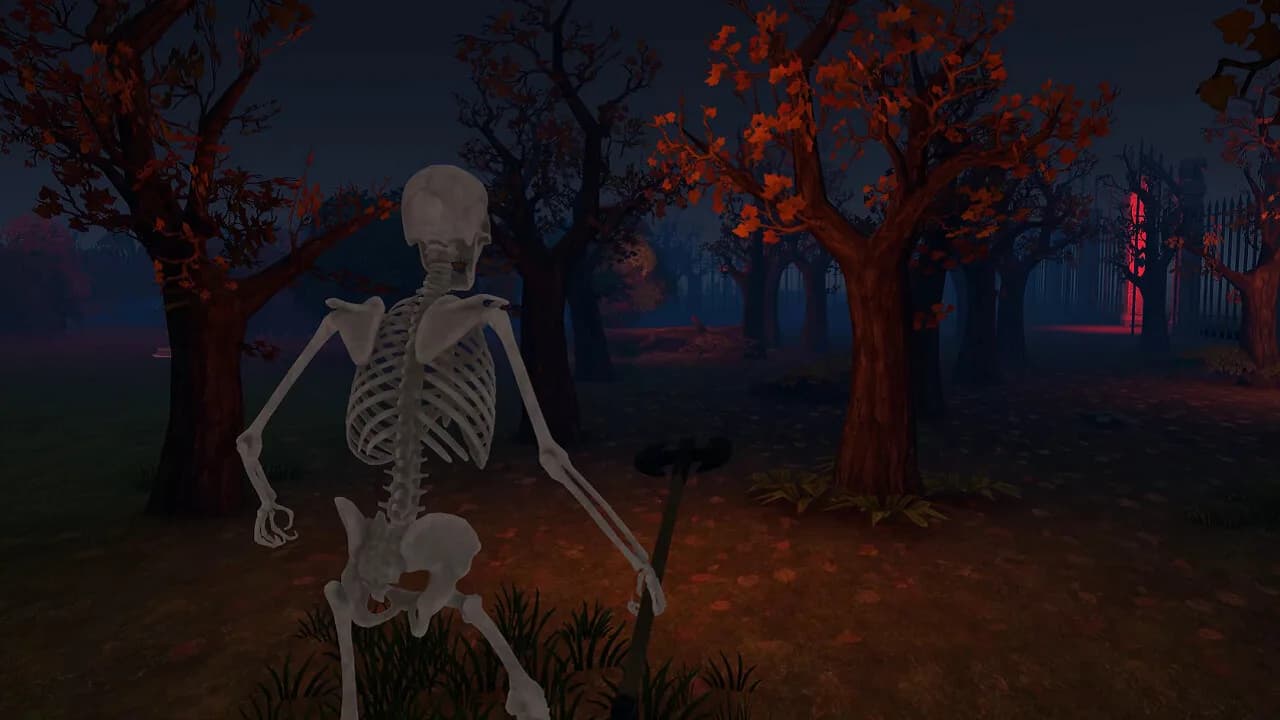 Skeletery görsel 12