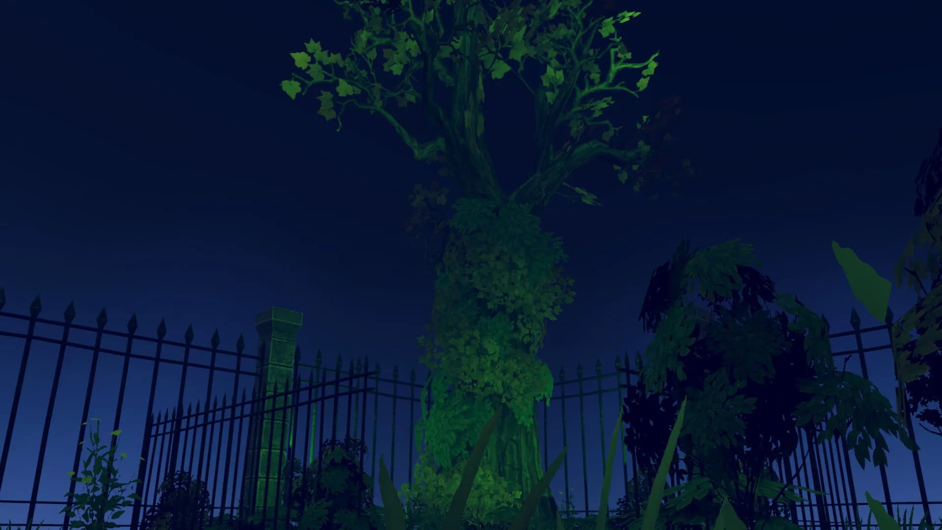 Skeletery görsel 9