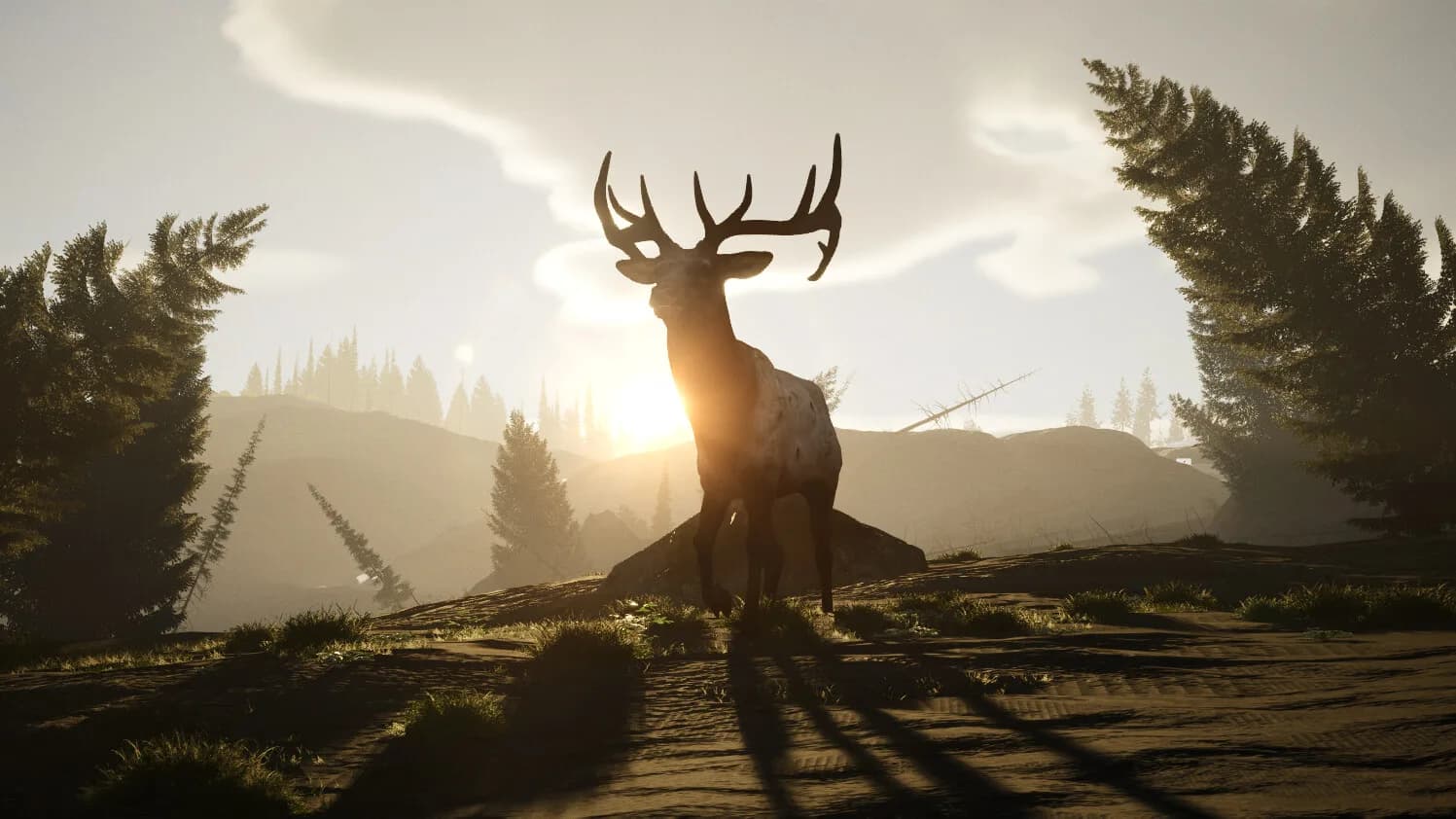 The Cenozoic Era görsel 2