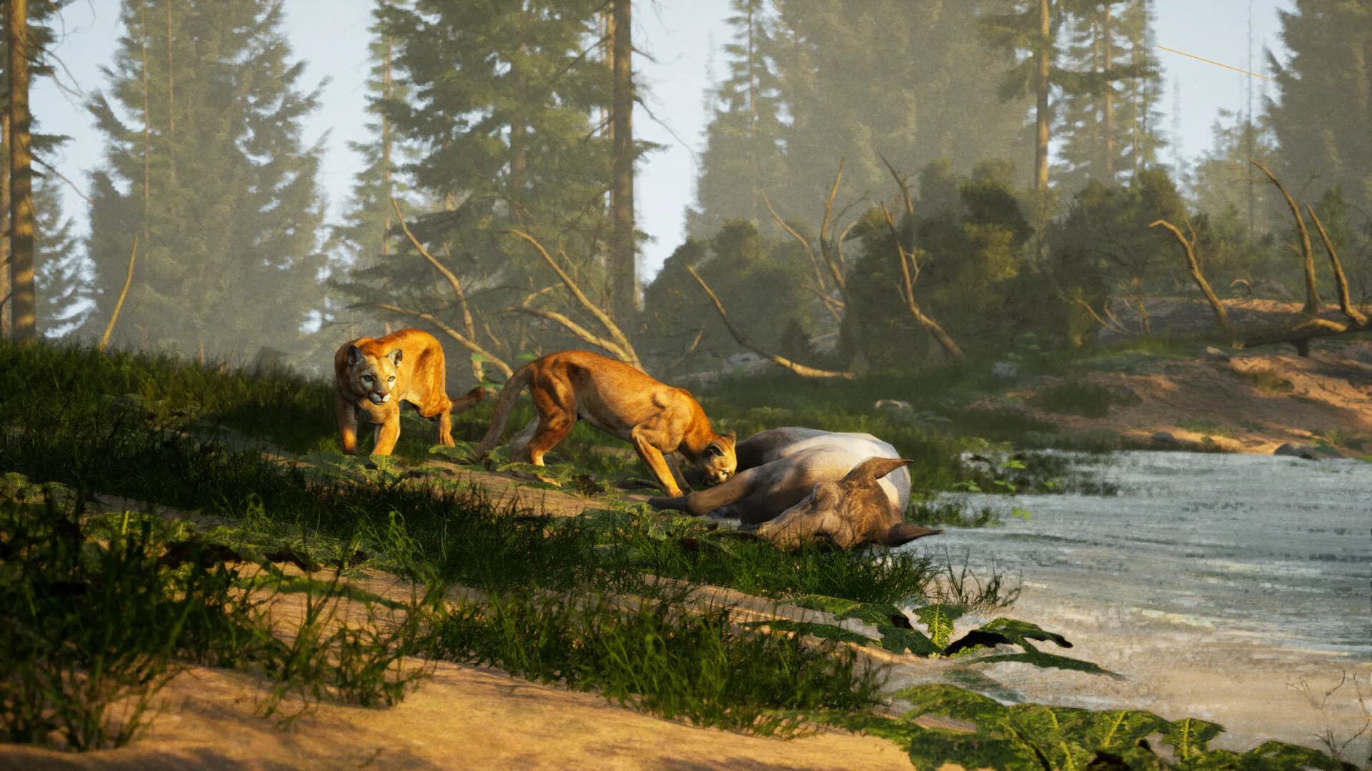 The Cenozoic Era görsel 3