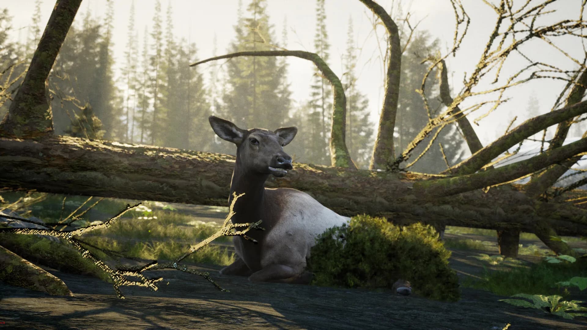 The Cenozoic Era görsel 6
