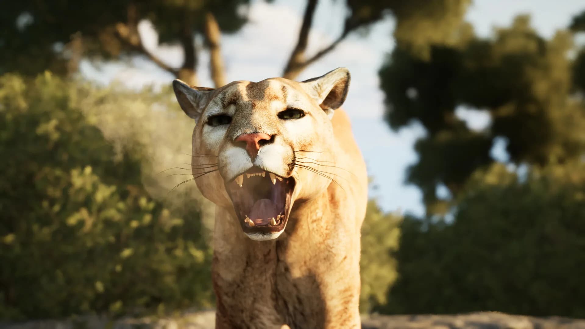 The Cenozoic Era görsel 9