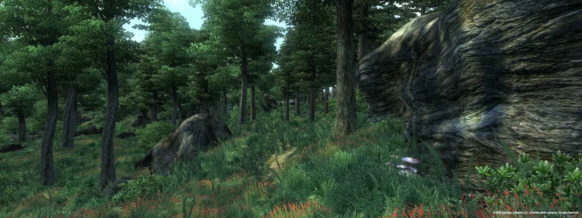 The Elder Scrolls IV: Oblivion® Game of the Year Edition (2009) görsel 3