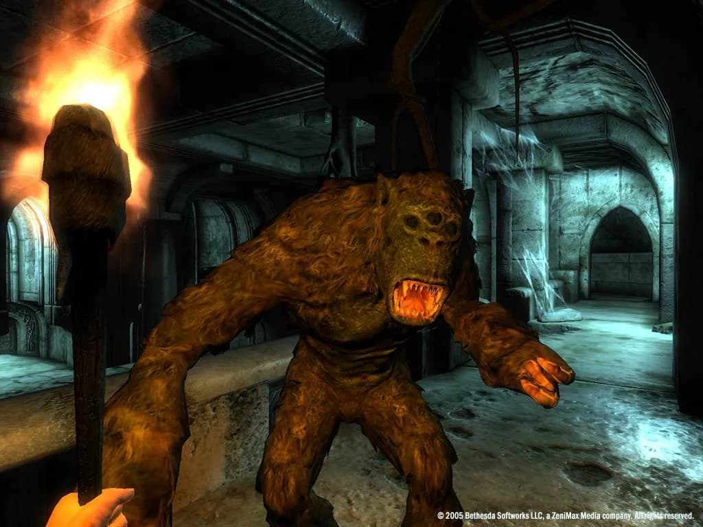 The Elder Scrolls IV: Oblivion® Game of the Year Edition (2009) görsel 14