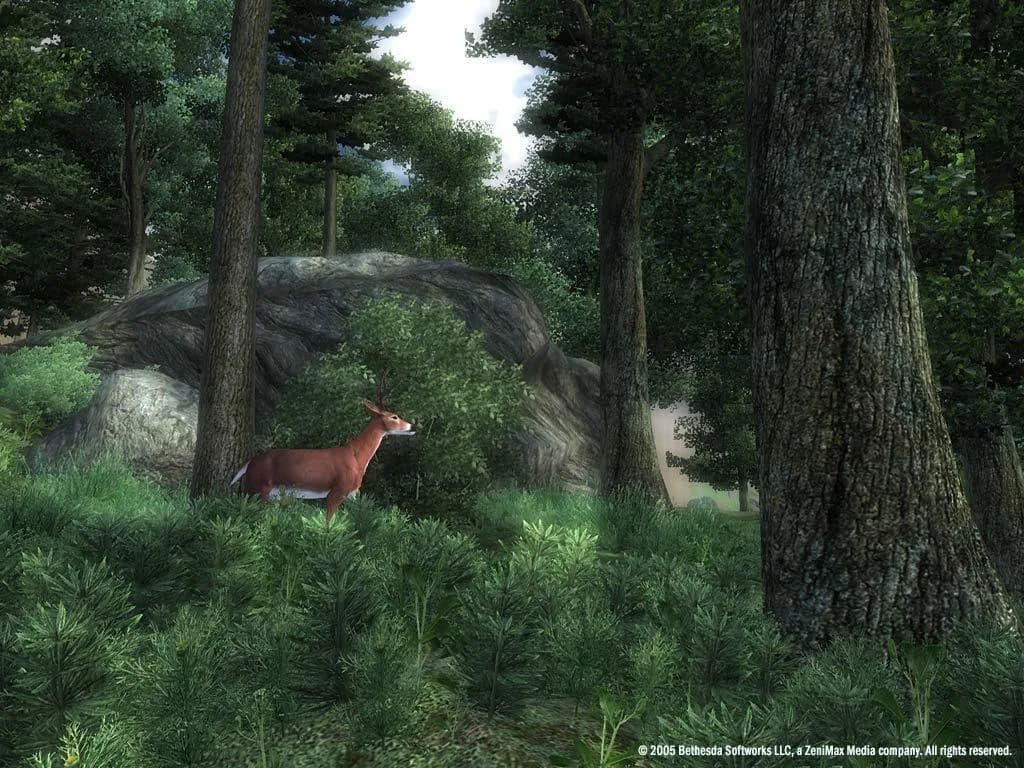 The Elder Scrolls IV: Oblivion® Game of the Year Edition (2009) görsel 15