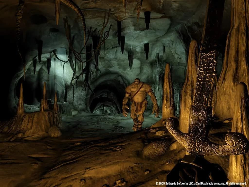 The Elder Scrolls IV: Oblivion® Game of the Year Edition (2009) görsel 17
