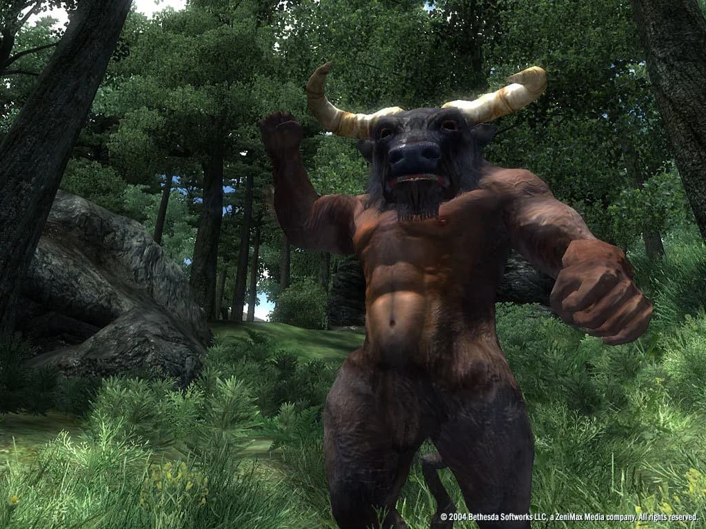 The Elder Scrolls IV: Oblivion® Game of the Year Edition (2009) görsel 19