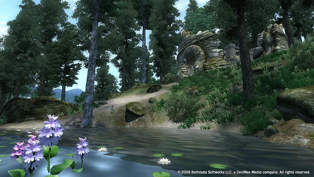 The Elder Scrolls IV: Oblivion® Game of the Year Edition (2009) görsel 4
