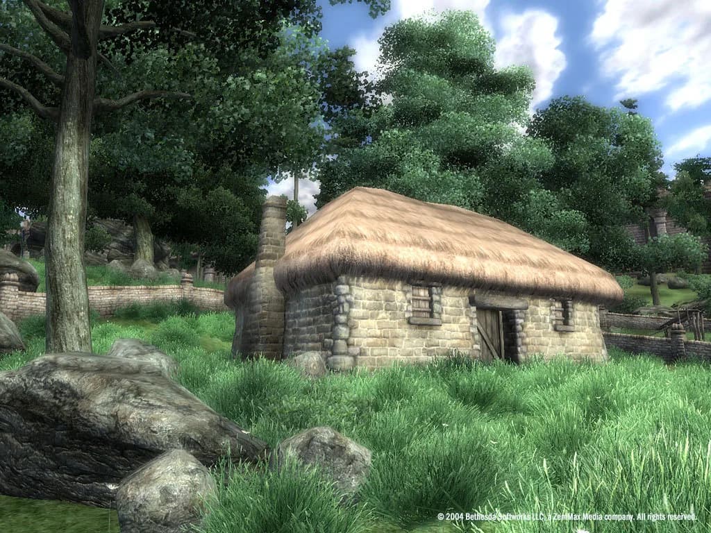 The Elder Scrolls IV: Oblivion® Game of the Year Edition (2009) görsel 25