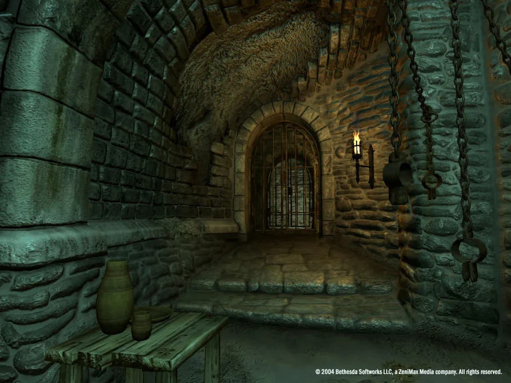 The Elder Scrolls IV: Oblivion® Game of the Year Edition (2009) görsel 26