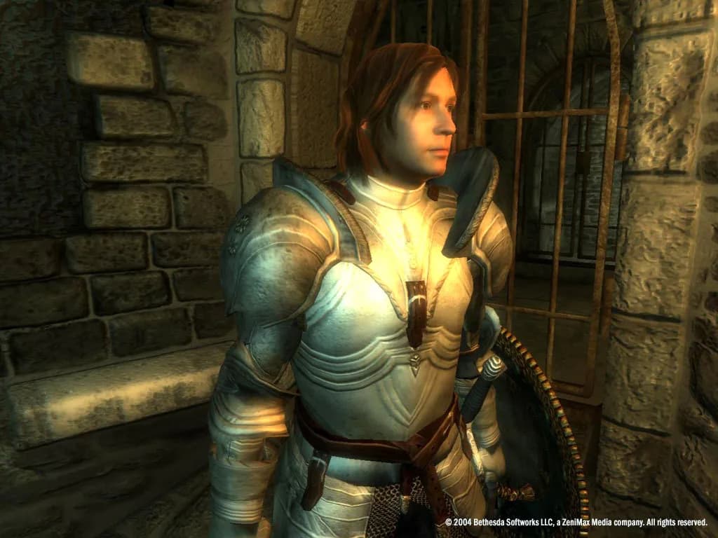 The Elder Scrolls IV: Oblivion® Game of the Year Edition (2009) görsel 28