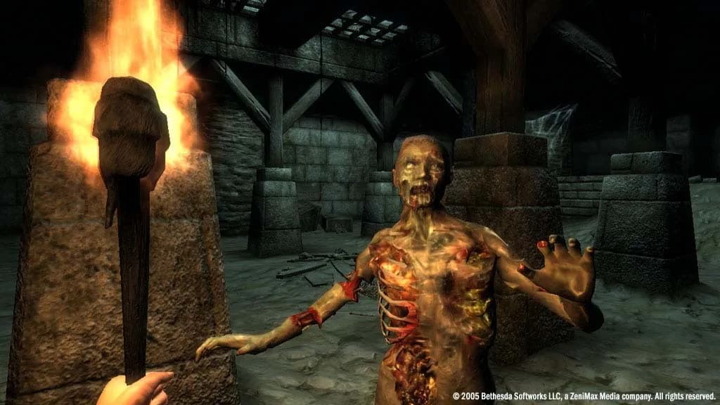 The Elder Scrolls IV: Oblivion® Game of the Year Edition (2009) görsel 7