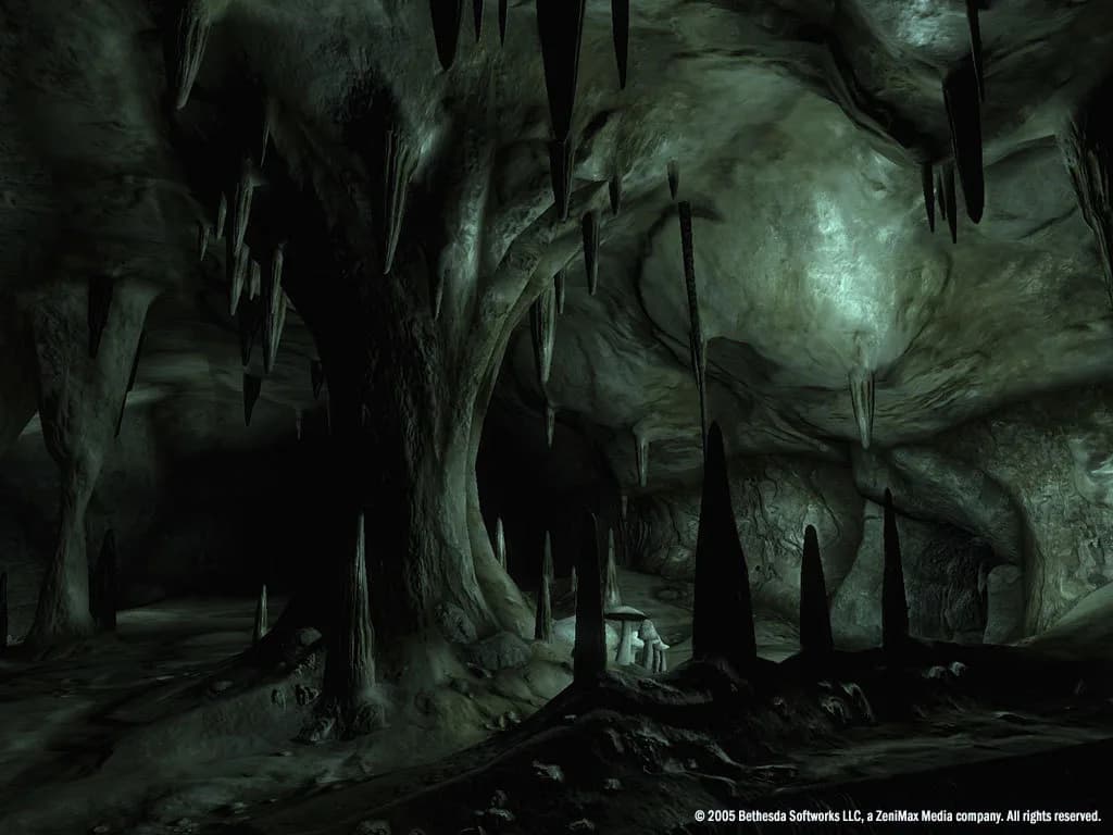 The Elder Scrolls IV: Oblivion® Game of the Year Edition (2009) görsel 11