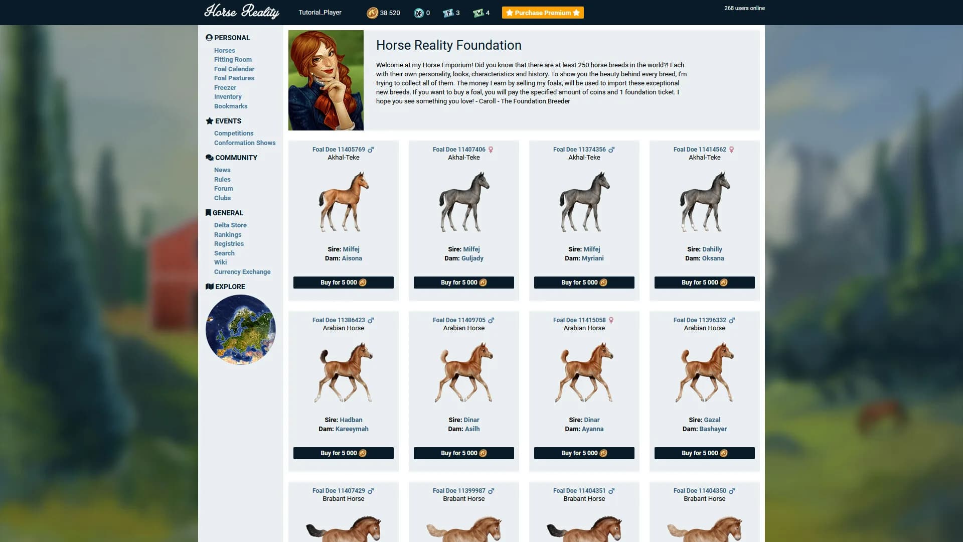 Horse Reality görsel 6