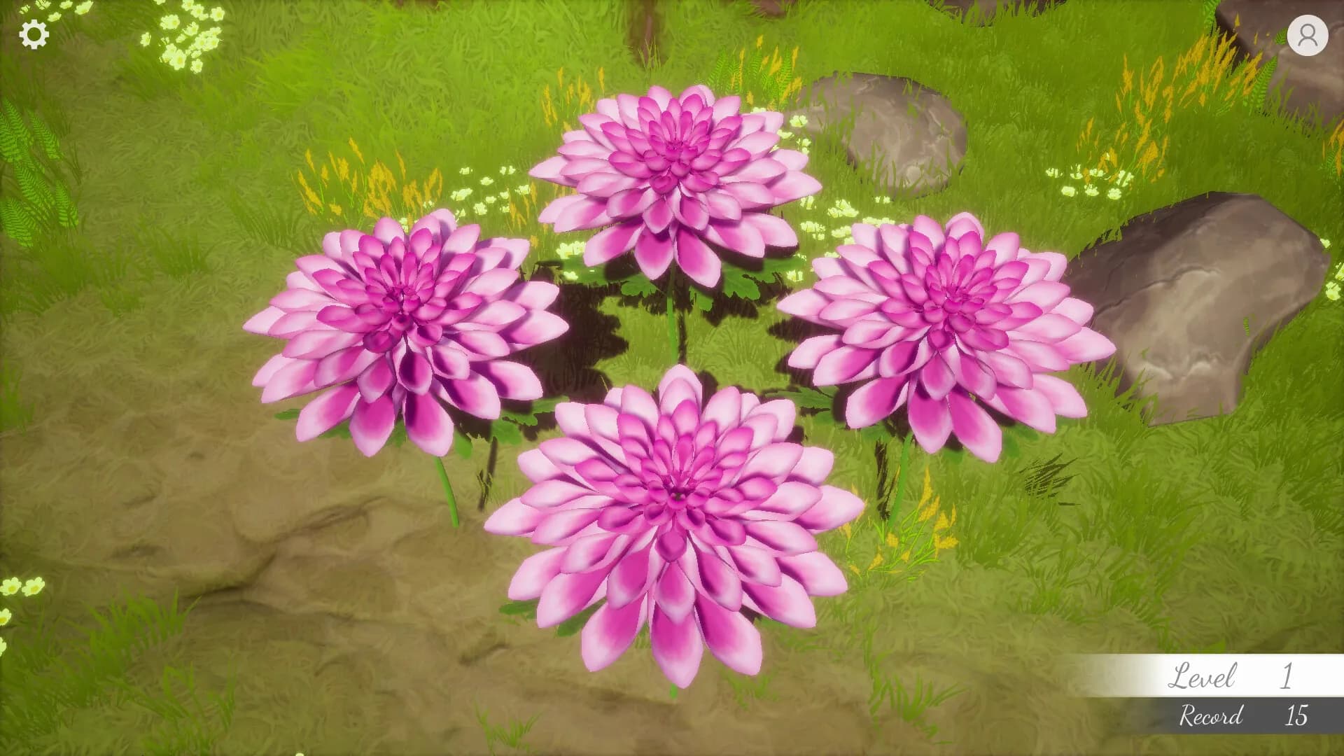 Flower Memories görsel 6
