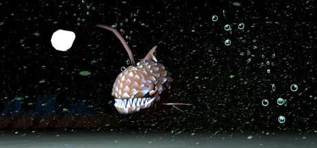 Ladybugs and Storm