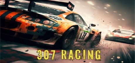 307 Racing görsel 1
