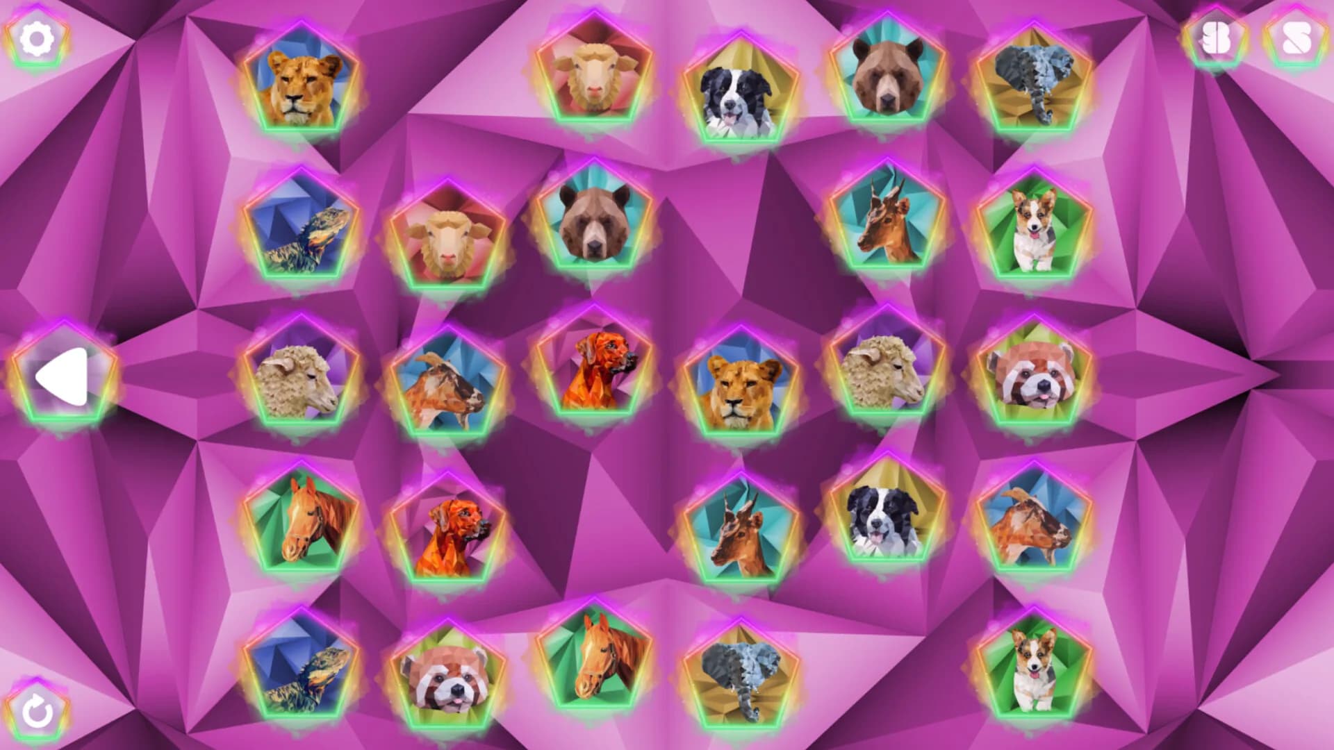 Poly Memory: Animals görsel 3