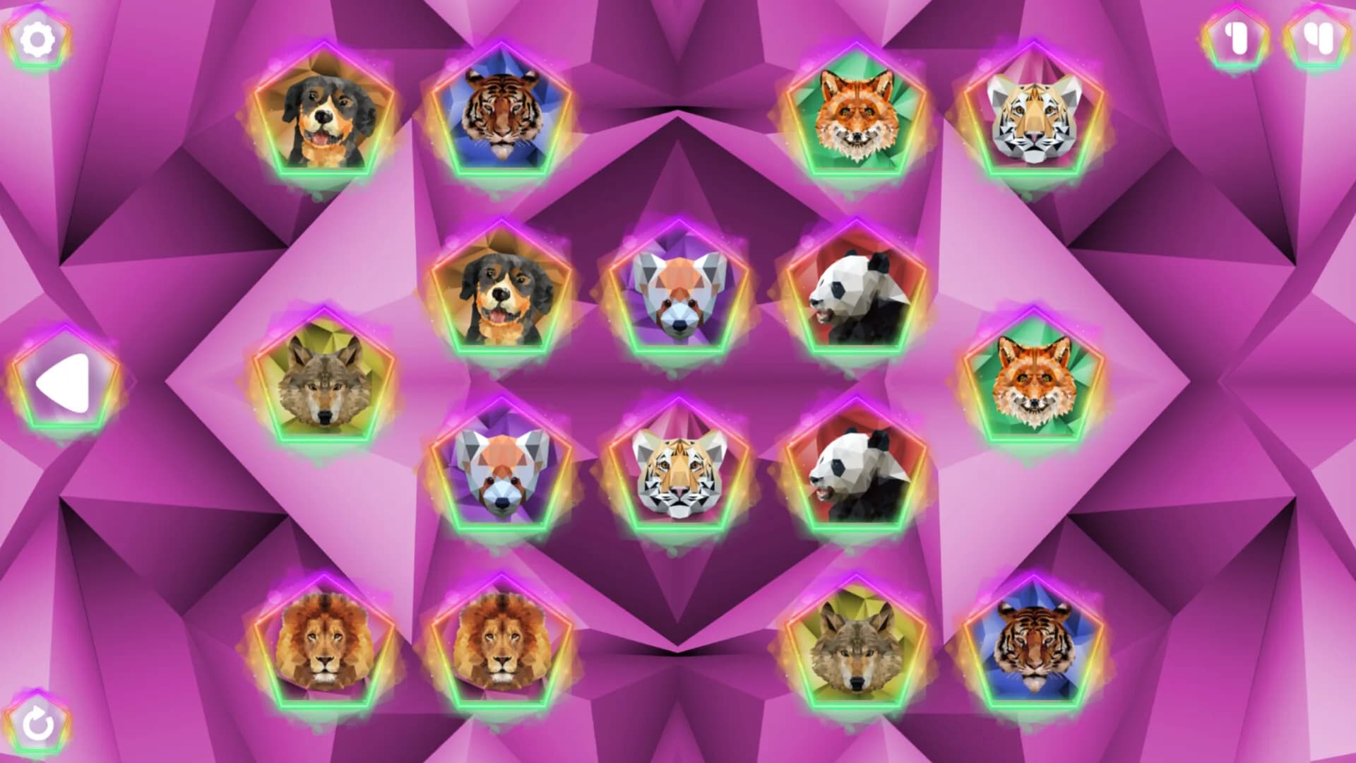 Poly Memory: Animals görsel 6