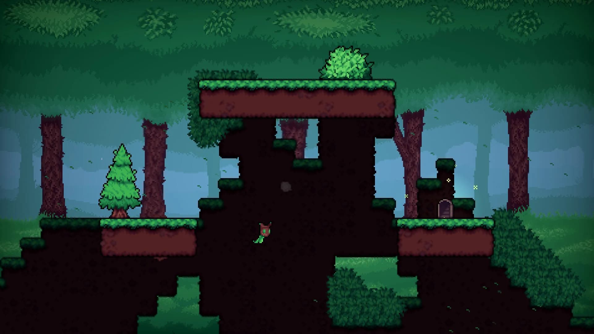 Seed in görsel 2