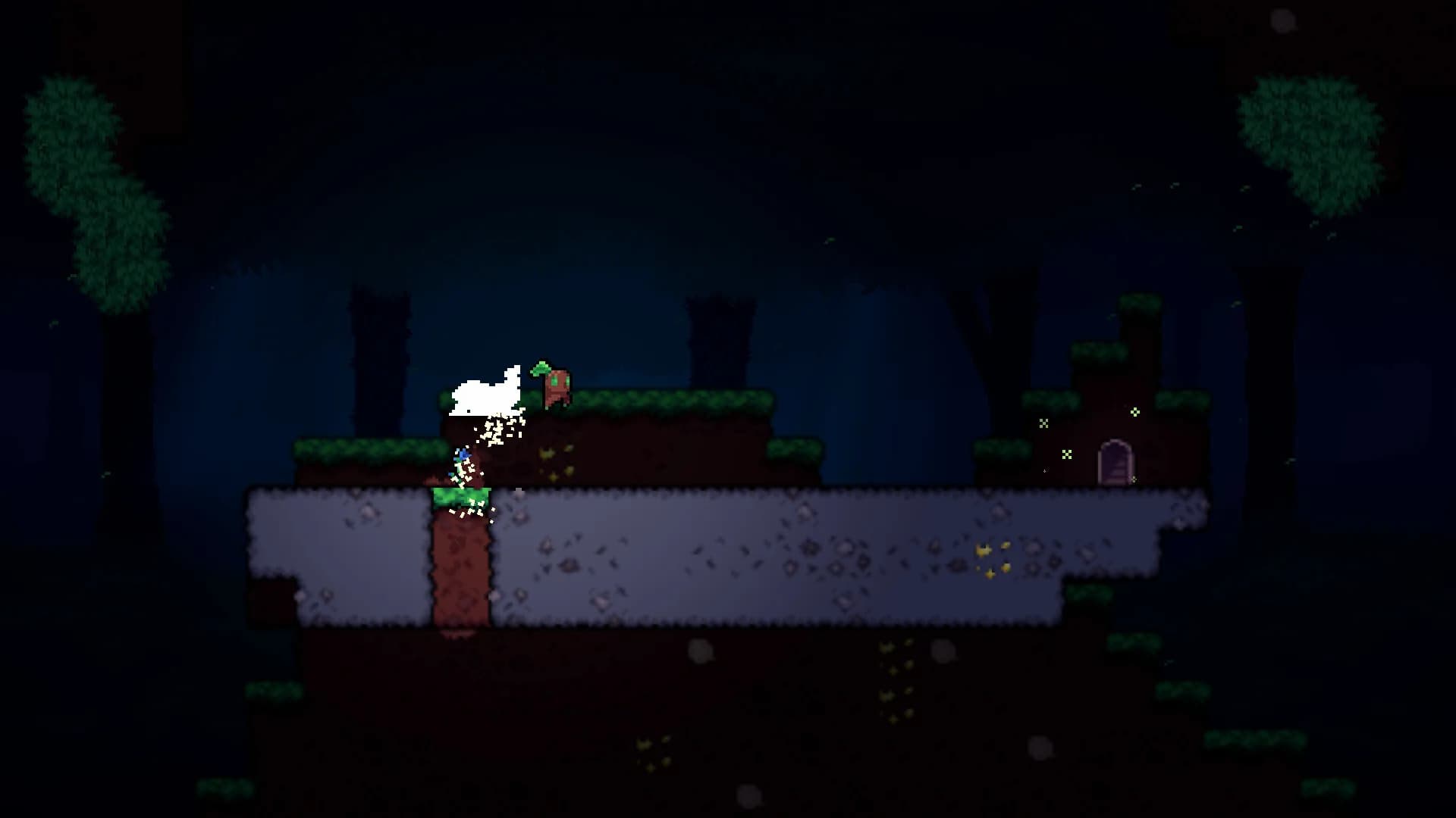 Seed in görsel 3