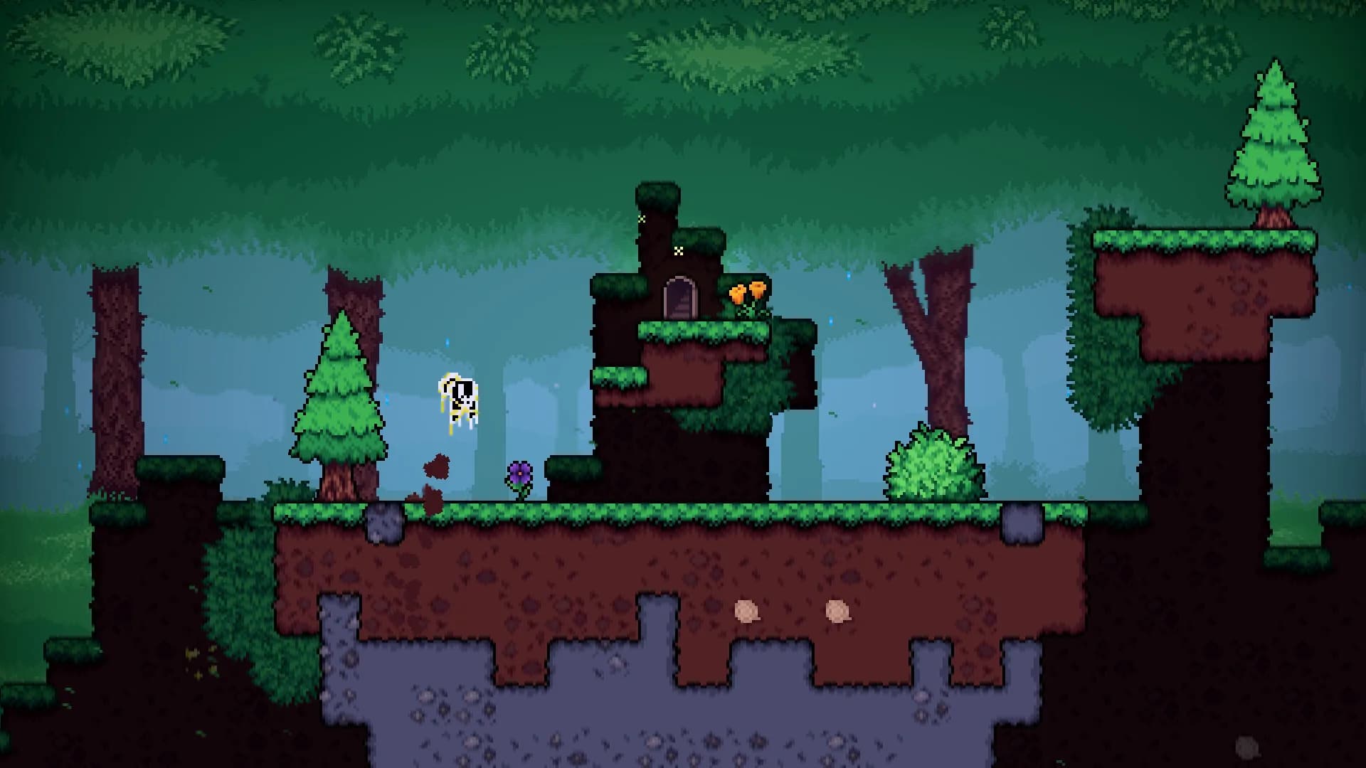Seed in görsel 5