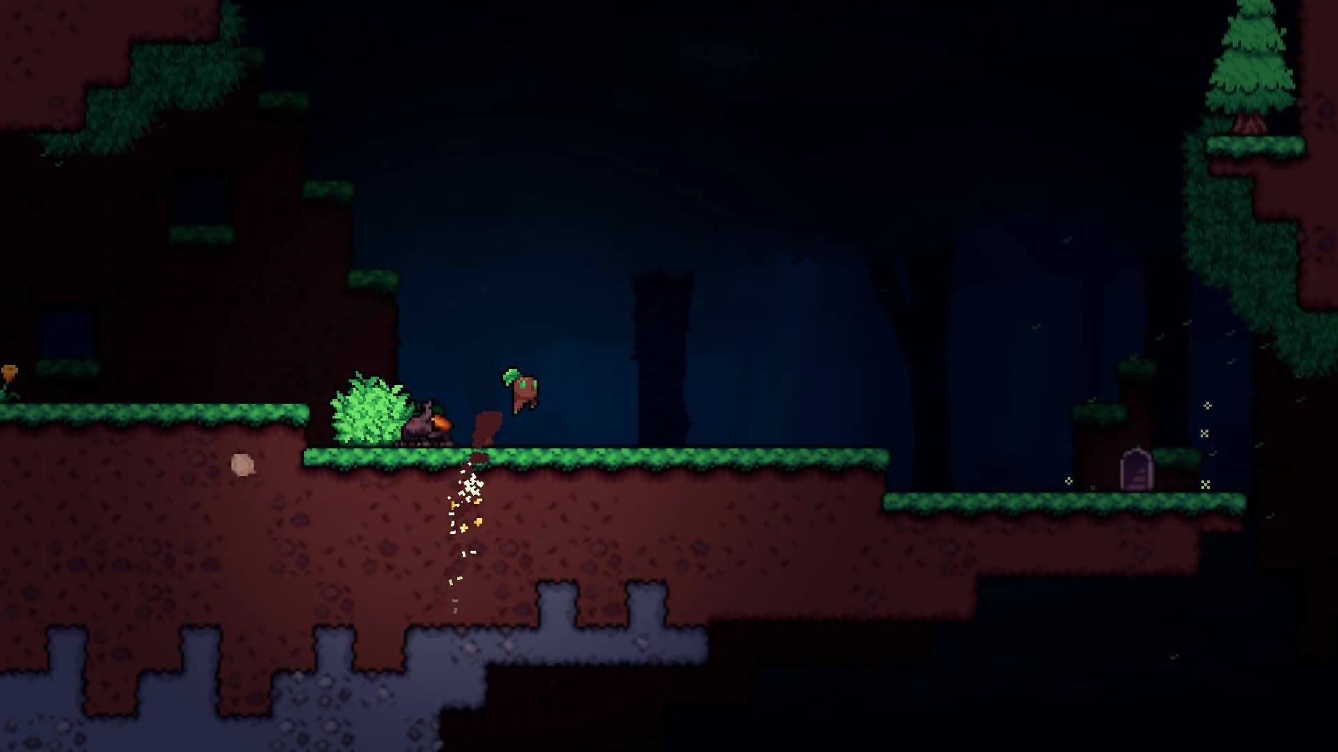 Seed in görsel 6