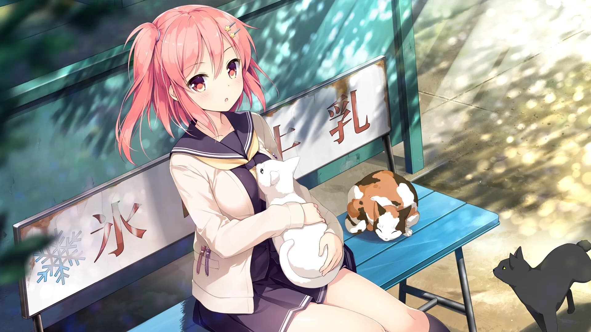 Koi x Shin Ai Kanojo görsel 7