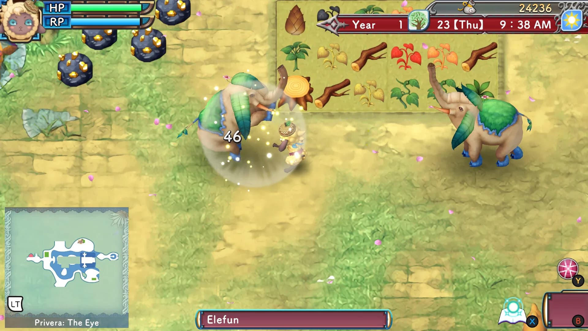 Rune Factory 3 Special görsel 2
