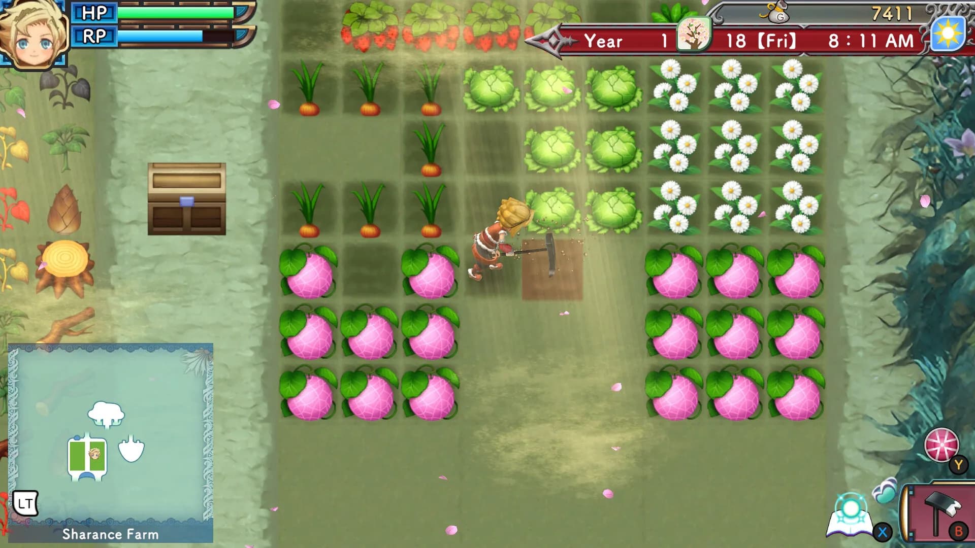 Rune Factory 3 Special görsel 6