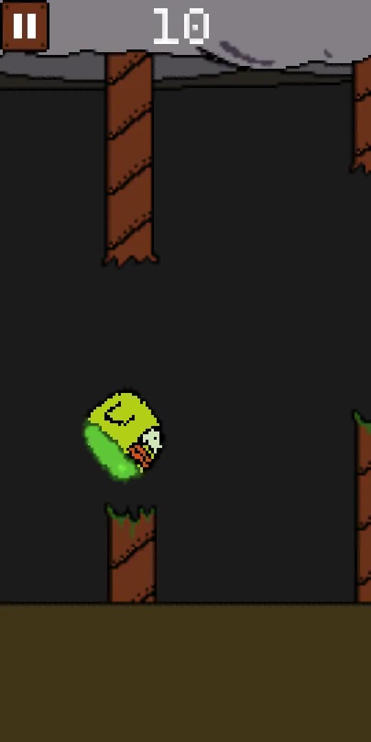 Stonga Bird görsel 5