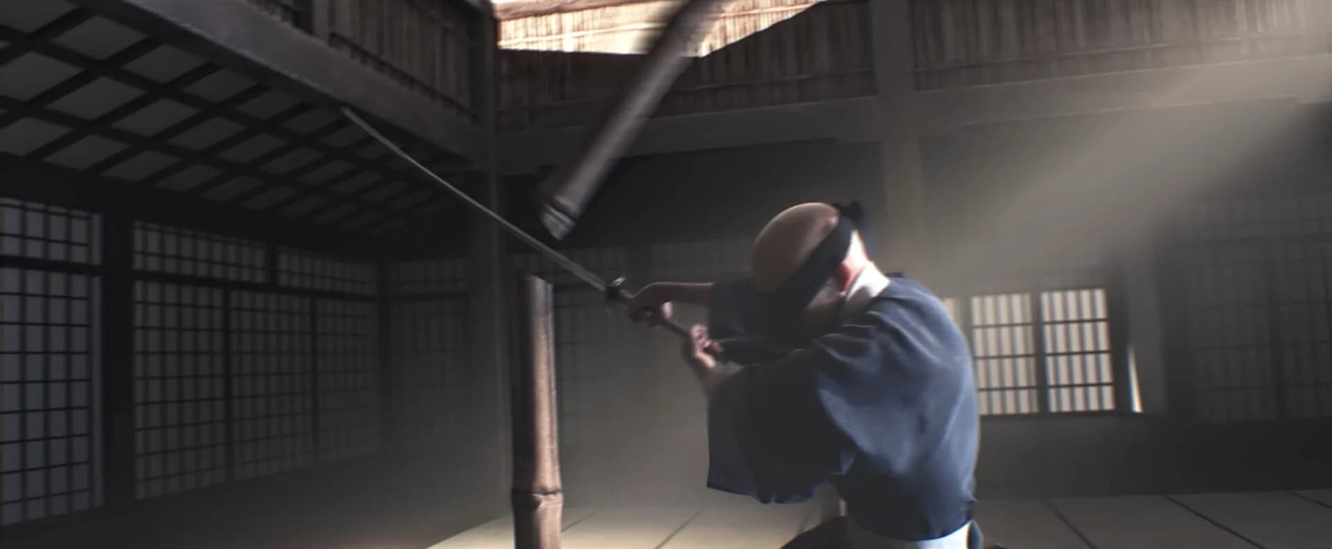 Kendo Warrior görsel 8