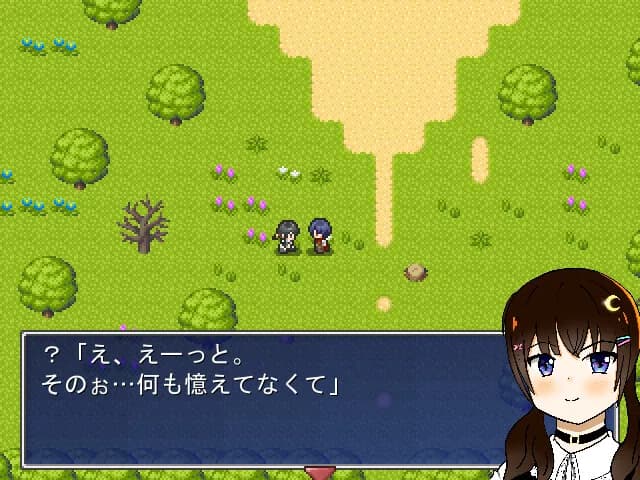 ハーデリアクエスト görsel 5