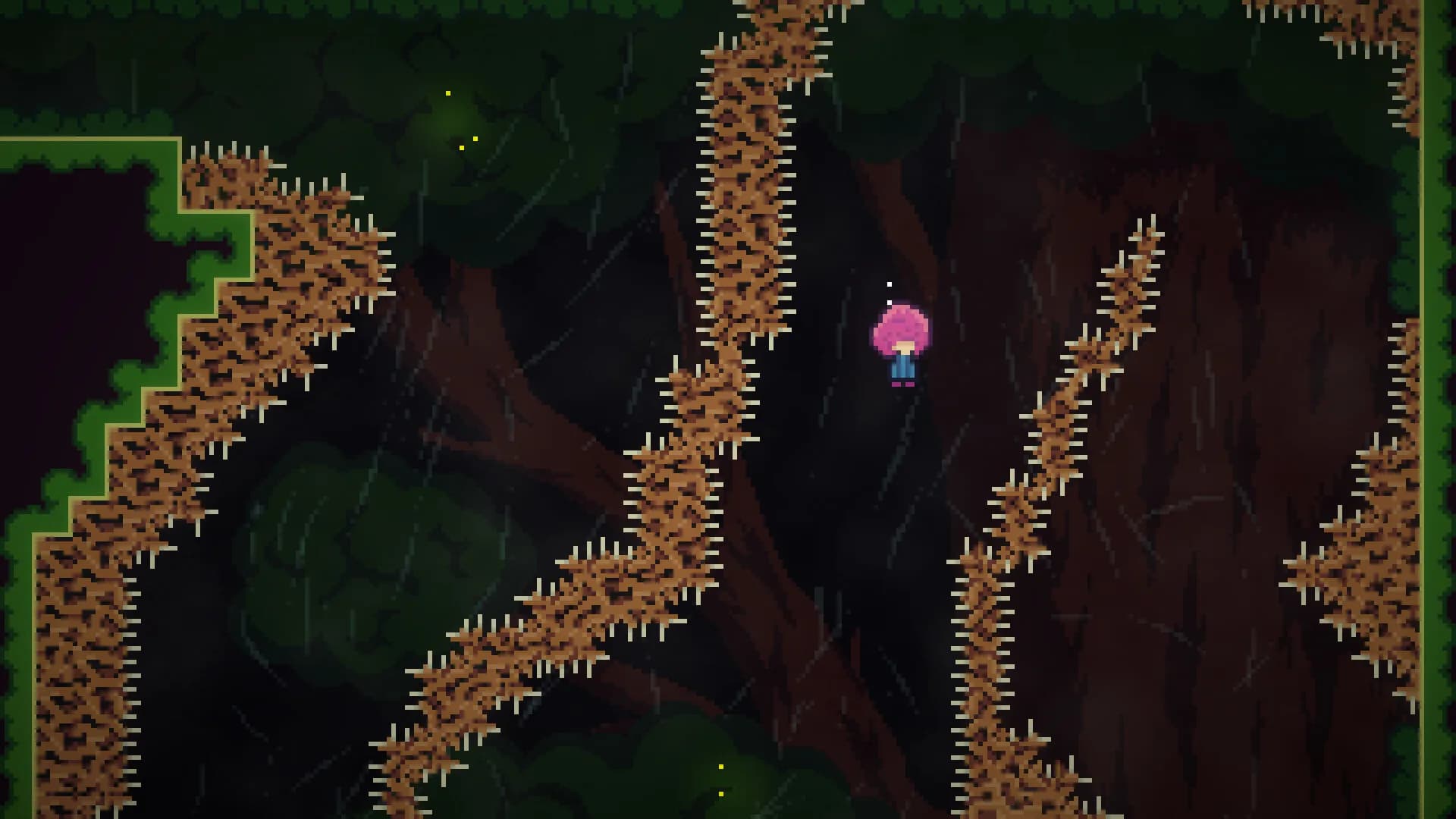 Finding Xavier görsel 7