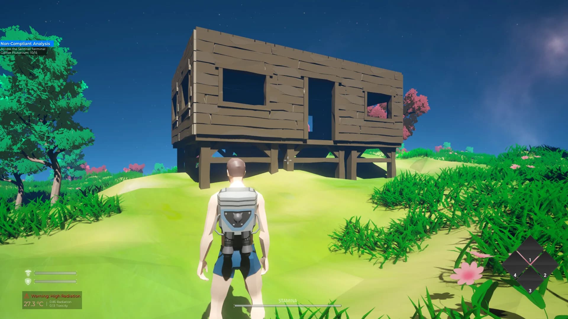 Project-Starbound görsel 7