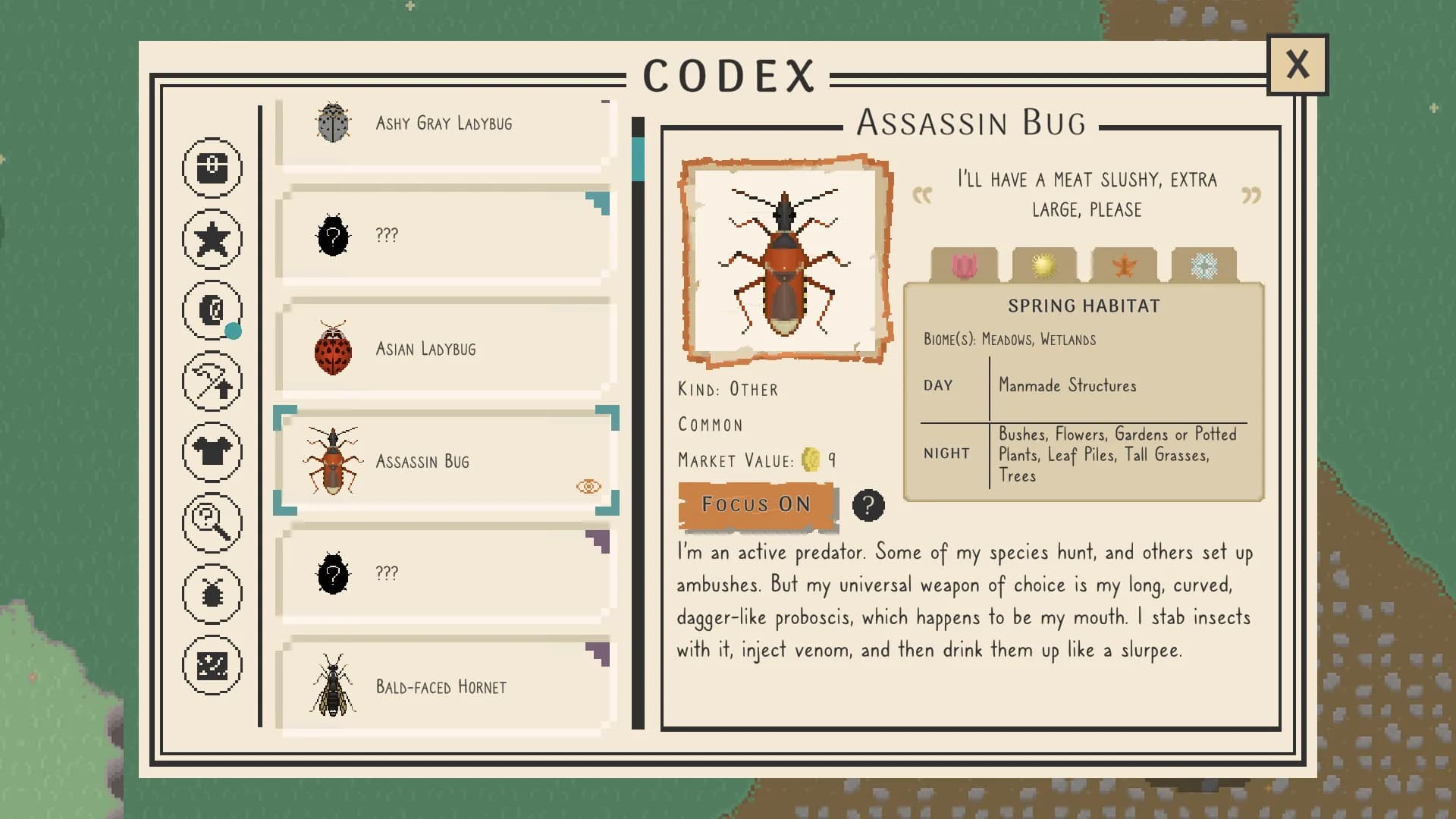 Bug & Seek görsel 3