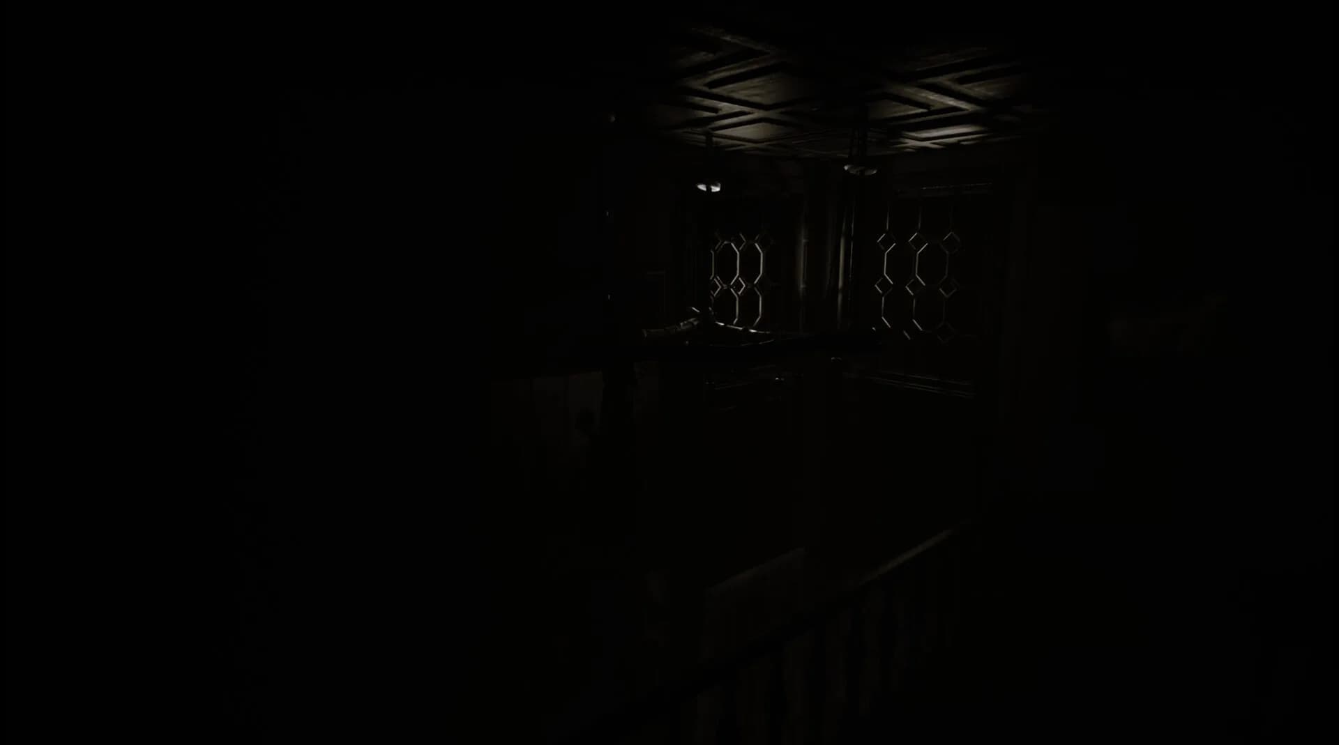 Mental: The Dark Night görsel 15