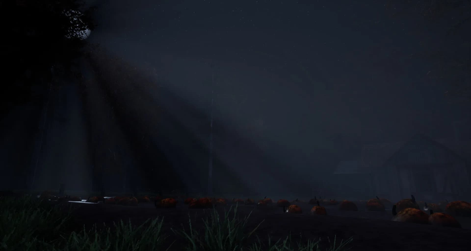 Samhain görsel 3