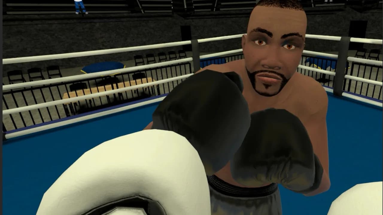 Golden Gloves VR görsel 4