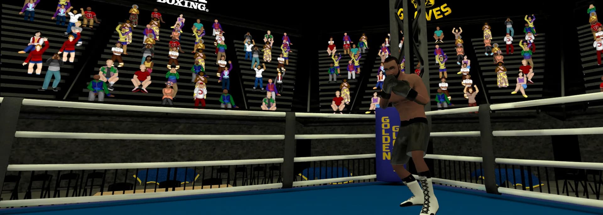 Golden Gloves VR görsel 7